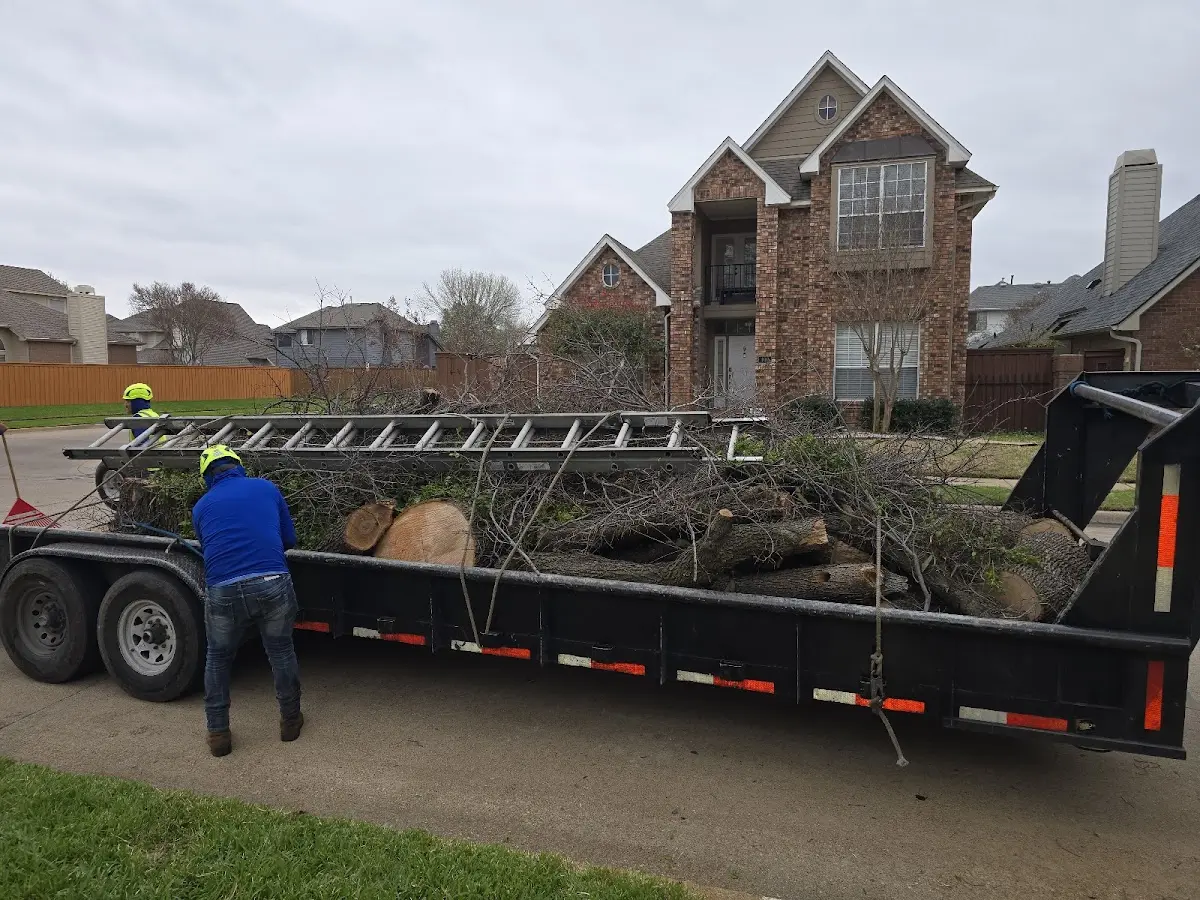 Expert Tree Removal with proper safety equipment in Savanna